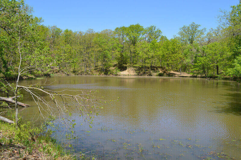 There are several ponds to fish in at Knob Noster State Park