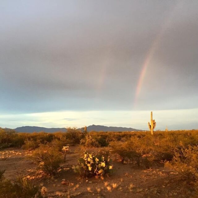 I was looking through old photos and man do I miss this desert view. The mountains are calling!