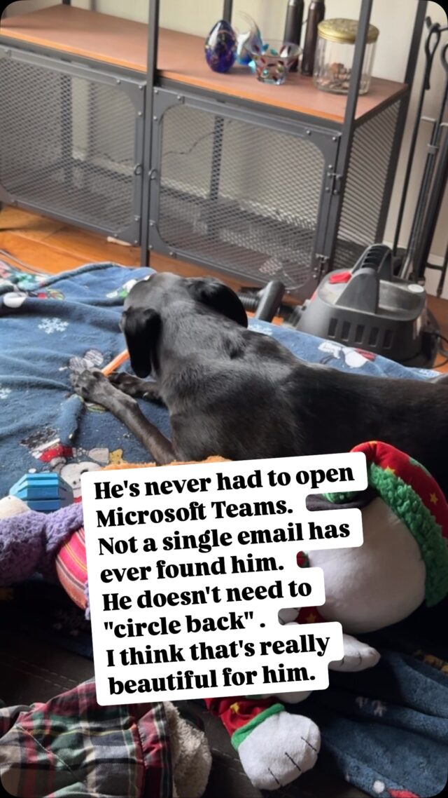 Instagram post 17858566356353243
